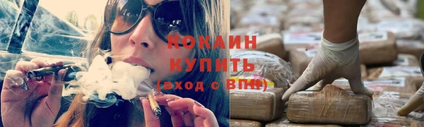 ПСИЛОЦИБИНОВЫЕ ГРИБЫ Ельня