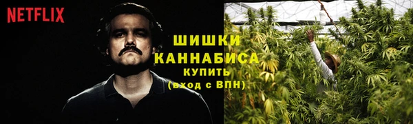 PSILOCYBIN Елизово