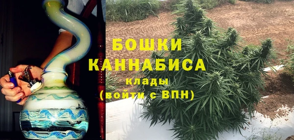 ПСИЛОЦИБИНОВЫЕ ГРИБЫ Ельня