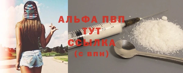 ПСИЛОЦИБИНОВЫЕ ГРИБЫ Ельня