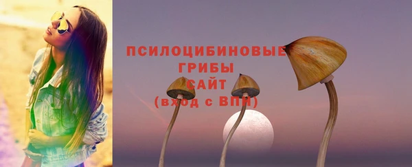PSILOCYBIN Елизово