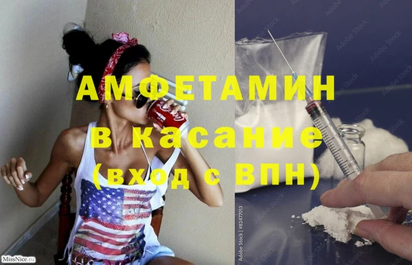 ПСИЛОЦИБИНОВЫЕ ГРИБЫ Ельня