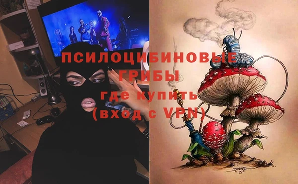 ПСИЛОЦИБИНОВЫЕ ГРИБЫ Ельня