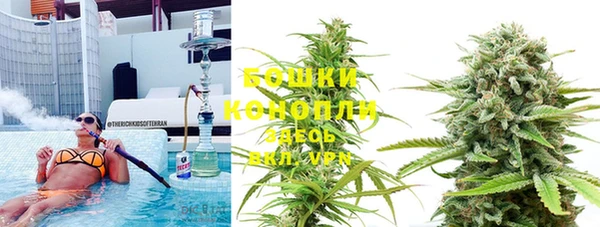 PSILOCYBIN Елизово