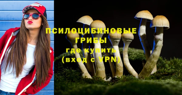 PSILOCYBIN Елизово
