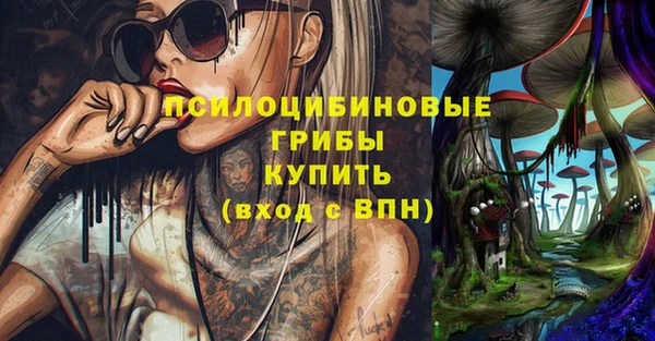 PSILOCYBIN Елизово
