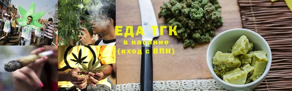 ПСИЛОЦИБИНОВЫЕ ГРИБЫ Ельня