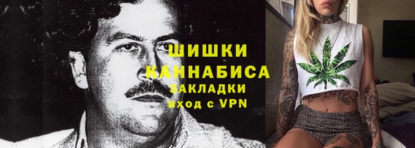 ПСИЛОЦИБИНОВЫЕ ГРИБЫ Ельня