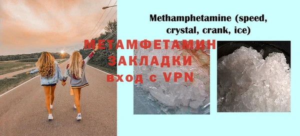 ПСИЛОЦИБИНОВЫЕ ГРИБЫ Ельня
